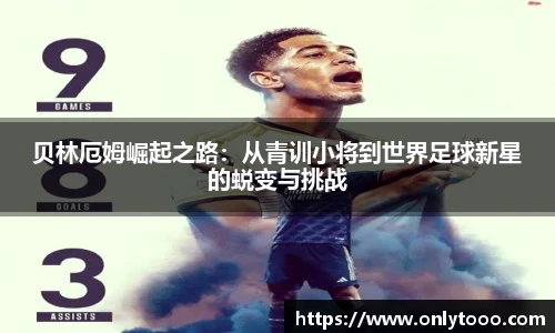 中欧体育